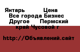 Янтарь.Amber › Цена ­ 70 - Все города Бизнес » Другое   . Пермский край,Чусовой г.